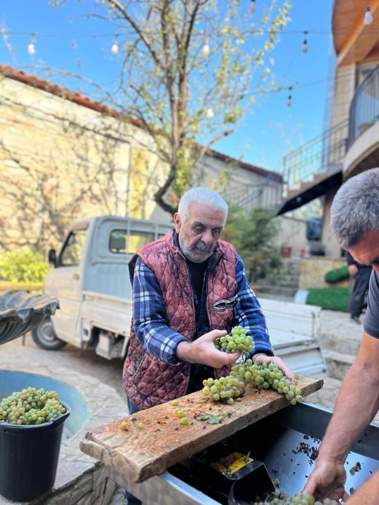 Hotel Traveler Sighnaghi Zewnętrze zdjęcie