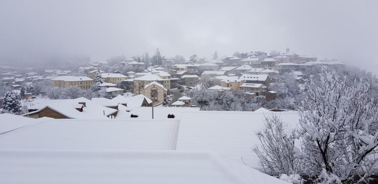 Hotel Traveler Sighnaghi Zewnętrze zdjęcie